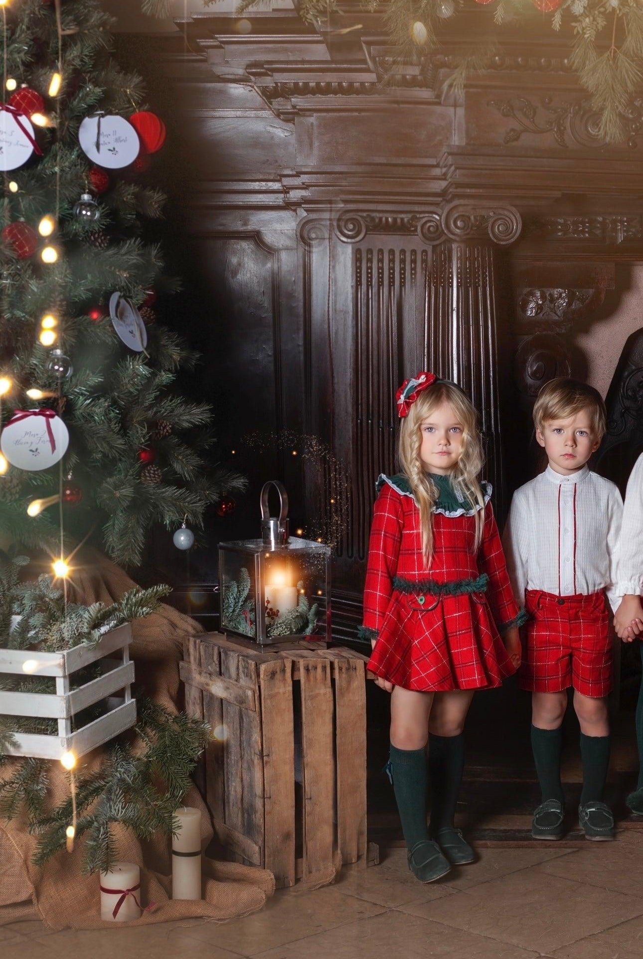 CLEARANCE SALE Miranda - Girls Red & Navy Checked Dress 229V - Mariposa Children's Boutique