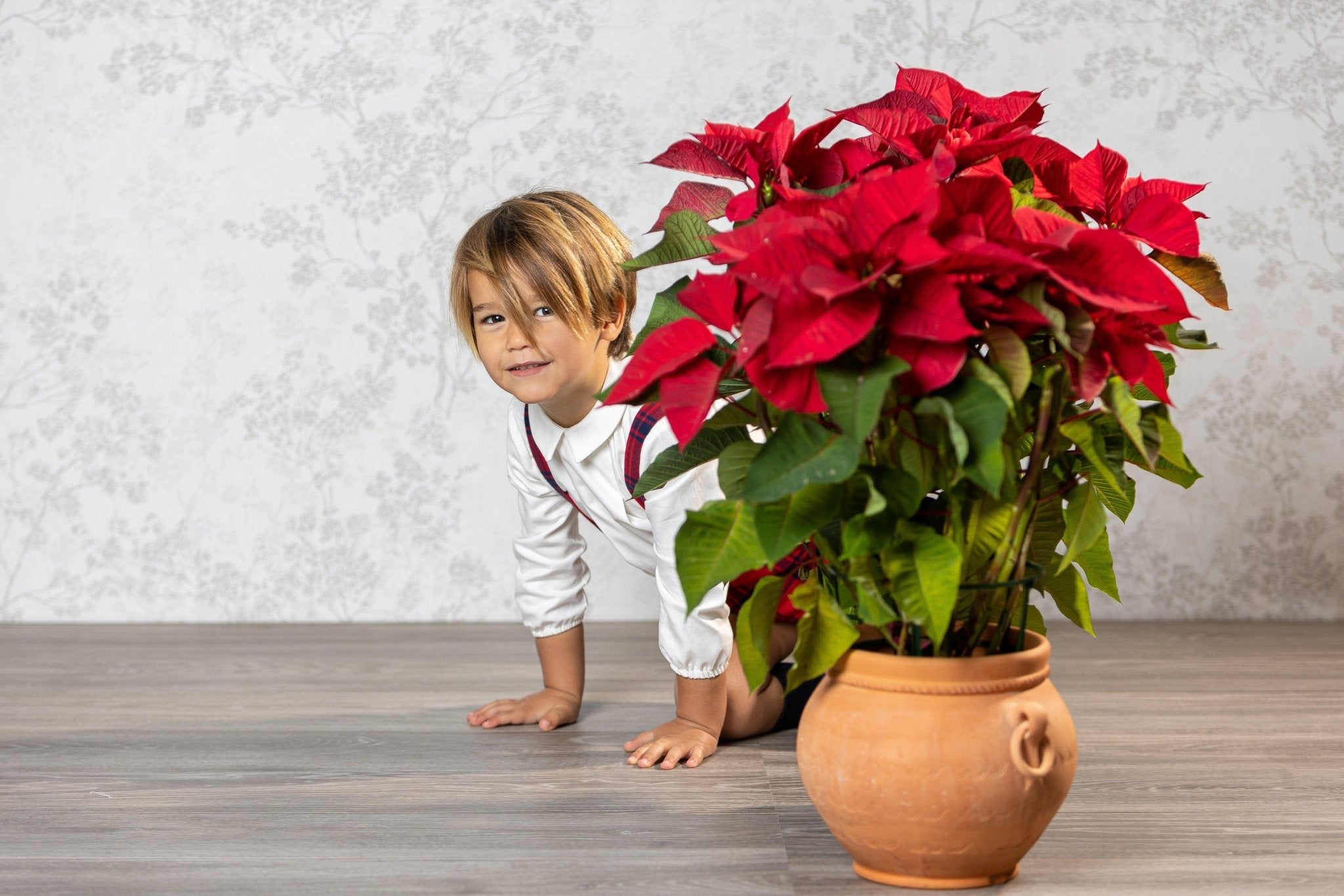 CLEARANCE SALE Abuela Tata - Boys Red & Navy Check Shorts & Shirt Set - Mariposa Children's Boutique